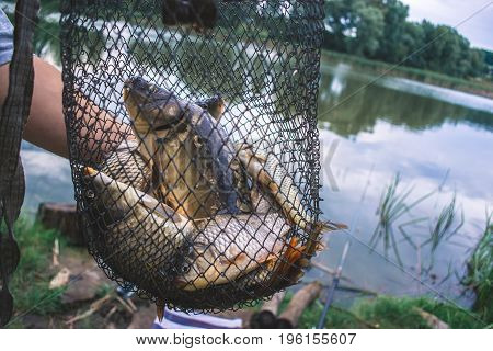 Fisherman's catch fish in nets on the pond