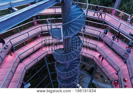 Treetop Walkway lignting Sightseeing trail in tree crowns. Wooden construction with a slide in the middle. Touristic place and unique constructionc. Treetop Walkway in Lipno Czech Republic