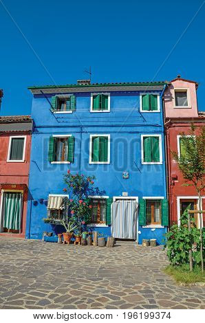 Burano, Italy - May 08, 2013. View of colorful house facade with bush flowers beside door on sunny day in Burano, a gracious little town full of canals, near Venice. In Veneto region, northern Italy