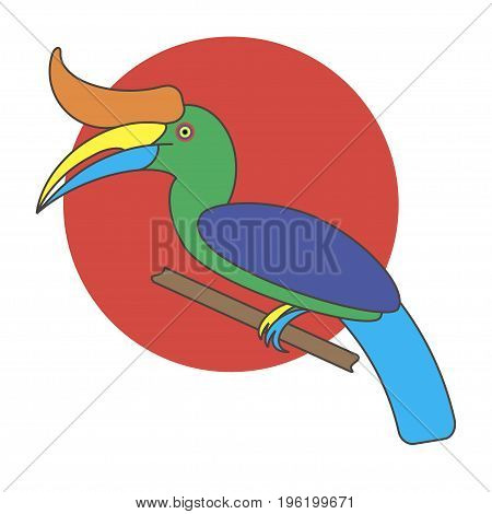 Hornbill bird. Vector cartoon tropical bird made in flat style. Isolated on white background.