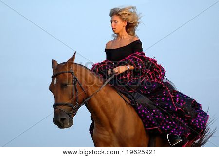 horse show in fancy-dress - Spaniard