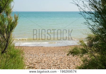 View of the sea with shingle beach through Tamarisk bushes at Ferring near Worthing West Sussex England