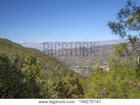 Gran Canaria,  July, Tamadaba