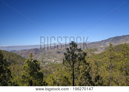 Gran Canaria,  July, Tamadaba