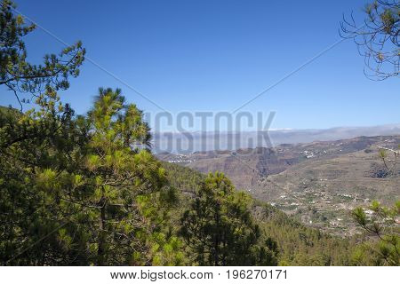 Gran Canaria,  July, Tamadaba