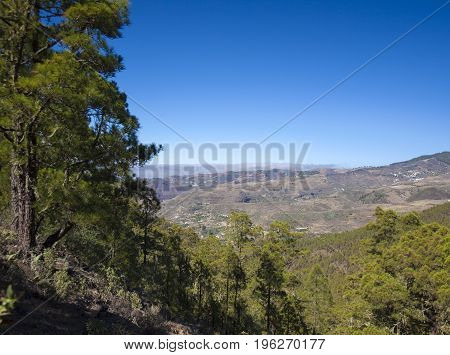 Gran Canaria,  July, Tamadaba