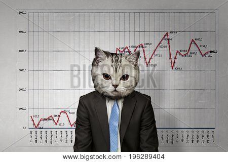 Cat in business suit. Mixed media