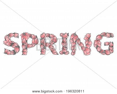 SPRING sign or lettering made with sakura flowers and leaves - floral alphabet letters set, vector design