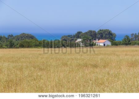 Farm house plantation and ocean in Porto Covo Alentejo Portugal