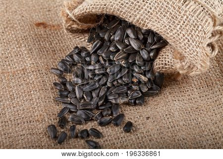 Sunflower seeds in a sack on burlap. Close-up
