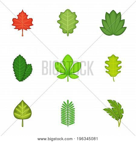 Ripped leaves icons set. Cartoon set of 9 ripped leaves vector icons for web isolated on white background