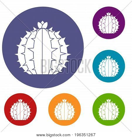 Lophophora cactus icons set in flat circle red, blue and green color for web