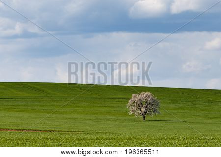 South Moravian Fields, Czech Republic Fields, Moravia Hills