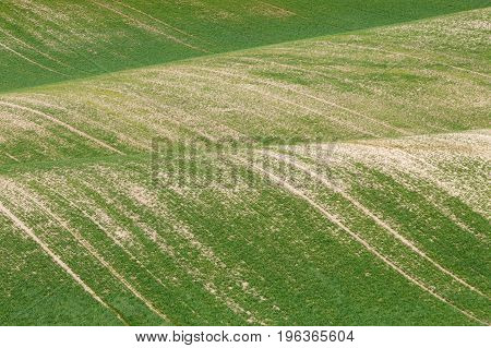 South Moravian Fields, Czech Republic Fields, Moravia Hills