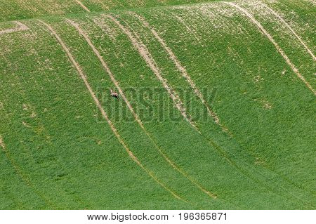 South Moravian Fields, Czech Republic Fields, Moravia Hills