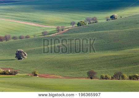 South Moravian Fields, Czech Republic Fields, Moravia Hills