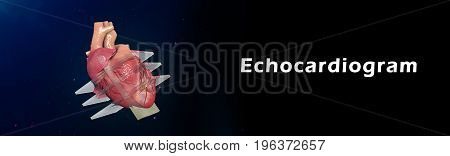An echocardiogram (also called an echo) is a type of ultrasound test that uses high-pitched sound waves that are sent through a device called a transducer.