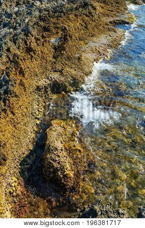 natural texture of the spongy volcanic beach rocks with waves and greenery under water