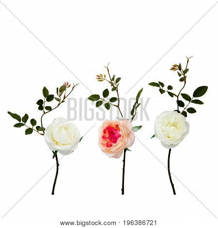 Flowers composition. Frame made of flowers isolated. Flat lay, top view