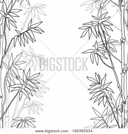 Bamboo seamless vertical border on white background. Tropical outline wallpaper, nature textile print, template with text place, coloring page.