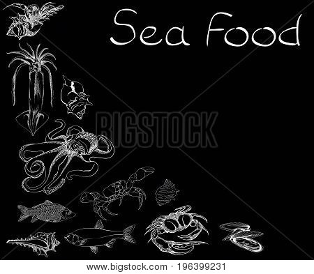 Hand drawn Seafood set. Octopus, fish, oysters, crab, shellfish and mussels. Vector illustration in old ink style.