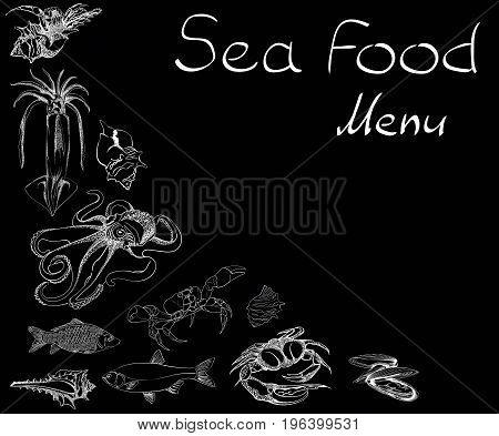 Hand drawn Seafood set. Octopus, fish, oysters, crab, shellfish and mussels. Vector illustration in old ink style.