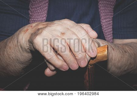 Close up of hands of old lady with wooden walking stick.
