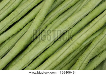 Fresh and green cowpea for use as background.