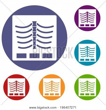 X ray photo icons set in flat circle red, blue and green color for web