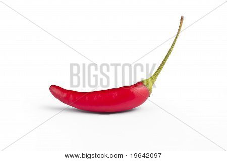 Red Hot Chilli