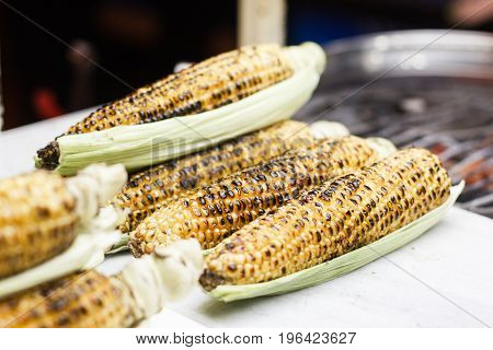 Grilled Corncob en brochette in a close up shot.