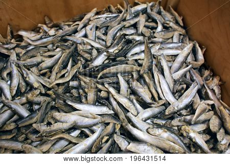 Frozen fish in supermarket