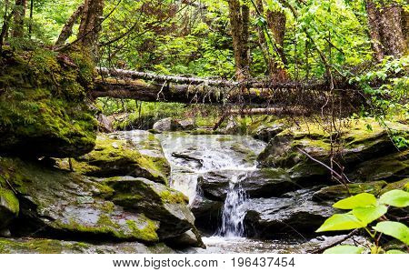 A natural waterfall with stones in the middle of a big Canadian forest.