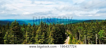 Distant landscape in a big Canadian forest during a beautiful bright day!