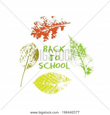 Back to school green chalk lettering typography with oak, marple, linden tree leaves colorful stamp texture. Vector illustration for cards, banners, print.