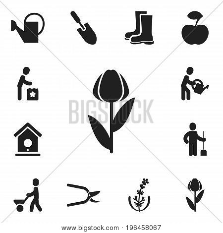 Set Of 12 Editable Gardening Icons. Includes Symbols Such As Man With Trolley, Ploughman, Waterproof Shoes And More