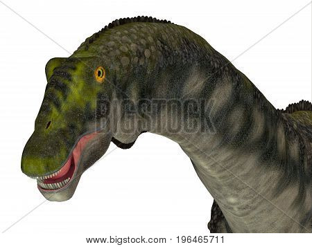 Diamantinasaurus Dinosaur Head 3d illustration - Diamantinasaurus was a herbivorous sauropod dinosaur that lived in Australia during the Cretaceous Period.