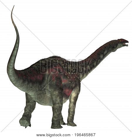 Diamantinasaurus Dinosaur Tail 3d illustration - Diamantinasaurus was a herbivorous sauropod dinosaur that lived in Australia during the Cretaceous Period.
