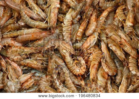 Fresh cold raw shrimps background.  Selective focus