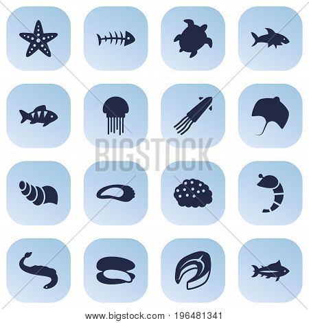 Collection Of Clam, Asteroid, Sink And Other Elements. Set Of 16 Seafood Icons Set.