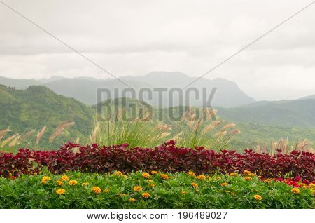 View nature mountain sky and fog phu tubberk thailand