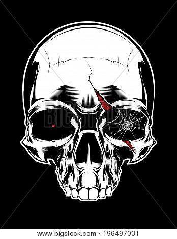 Angry skull with scar  and spiderweb on black background