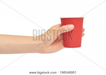 Female Hands Hold A Cardboard Or Plastic Disposable Cup. Isolated On White Background