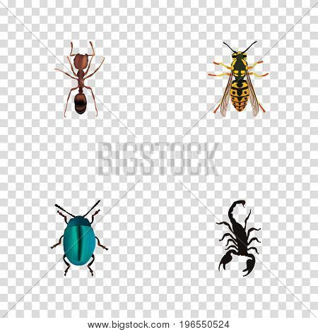 Realistic Poisonous, Emmet, Bug And Other Vector Elements