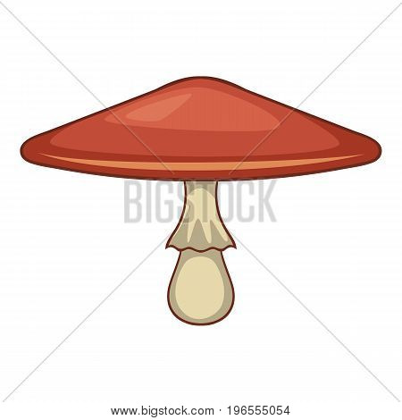 Lepiota procera mushroom icon. Cartoon illustration of lepiota procera mushroom vector icon for web design