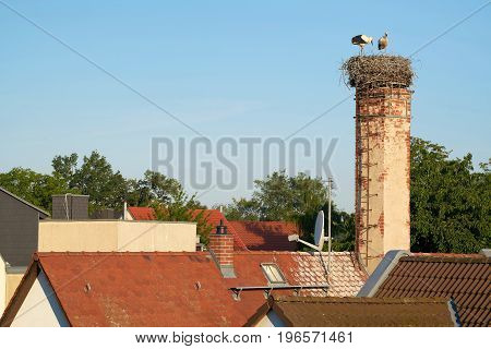 Stork nest above the roofs of the village Biederitz near Magdeburg