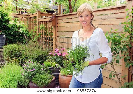 Smiling fifty year old lady gardener outside in the garden holding a pack of lobelia flowers.