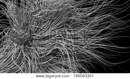 3d illustration of free growing white tentacles. isolated on white.