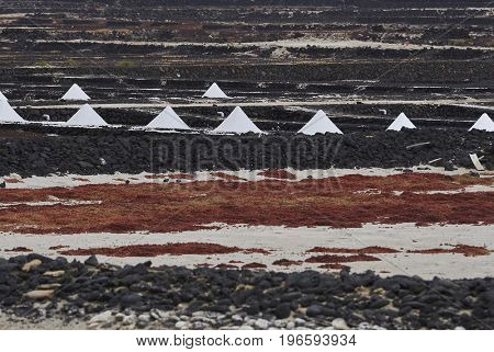 Landmarks of Lanzarote - Salinas de Janubio, main salt production of Canary islands