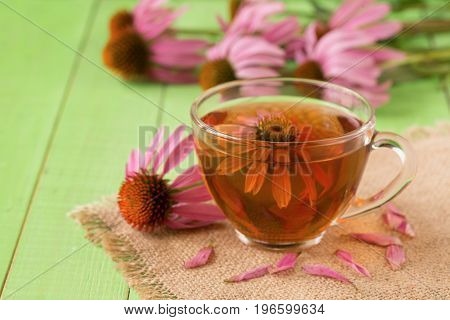 Cup of echinacea tea on green wooden table.